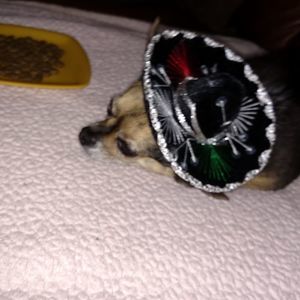 Meet your Posher, Melanie