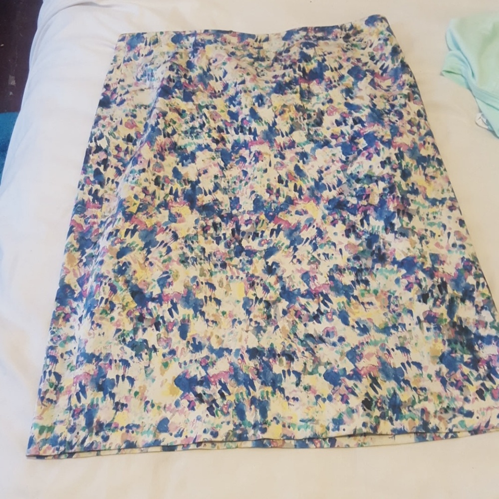 Ann Taylor skirt
