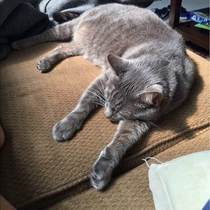 Meet your Posher, Melanie