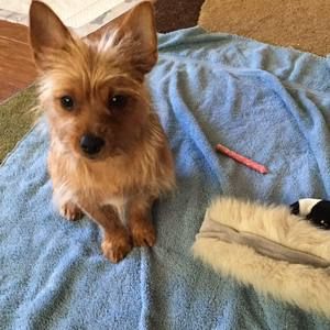 Meet your Posher, Amy