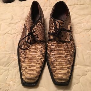 Alligator Shoes