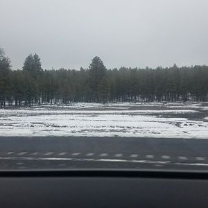 Meet your Posher, Halle