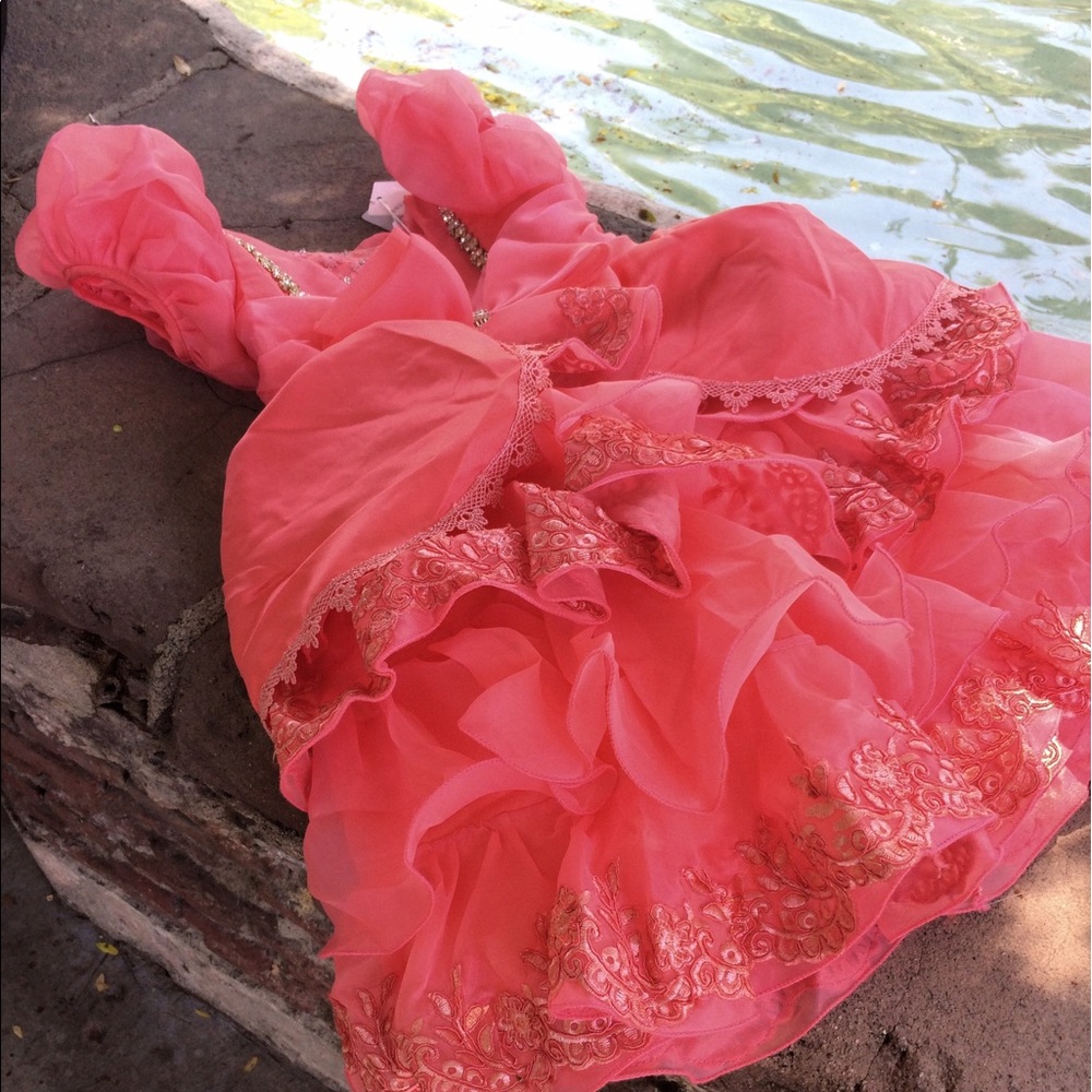 Coral Embroidered Princess Dress
