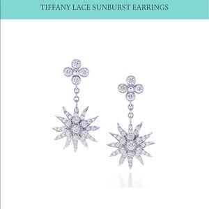 HPPRICELESS Tiffany&Co platinum/diamond earrings