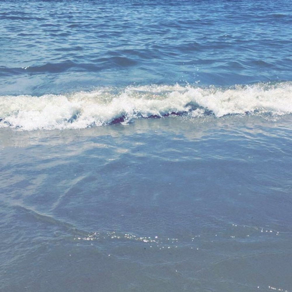 Meet your Posher, Jen