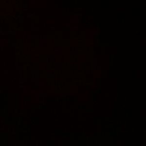 Meet your Posher, Marlene