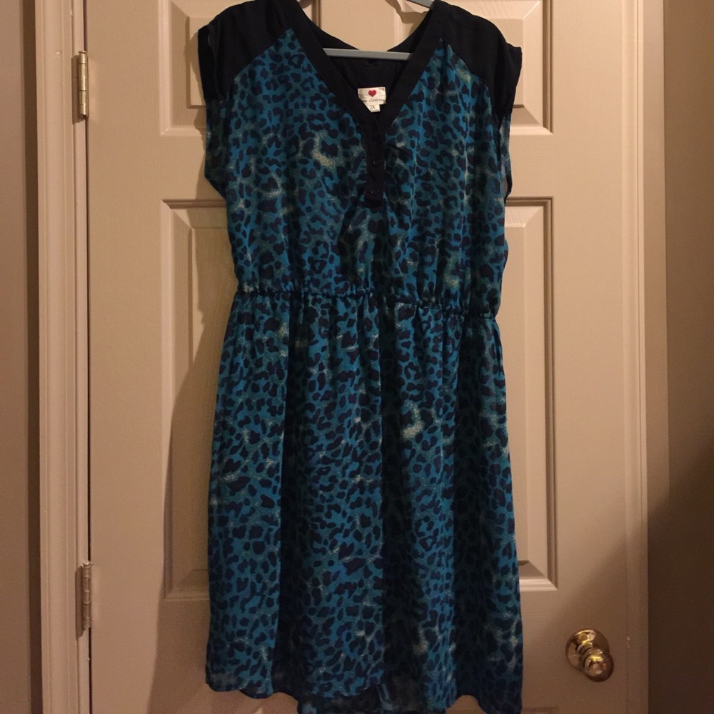 Plus size tunic/dress 2x
