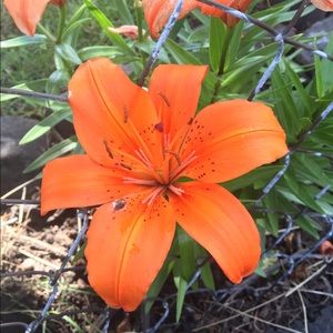 Meet your Posher, Rhianna