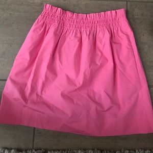 JCrew Skirt