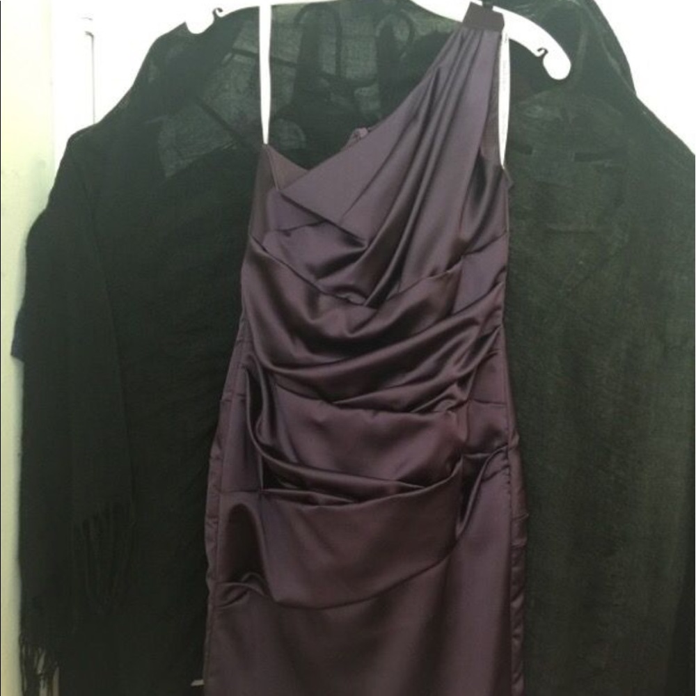 Plum Dress - Picture 2 of 3