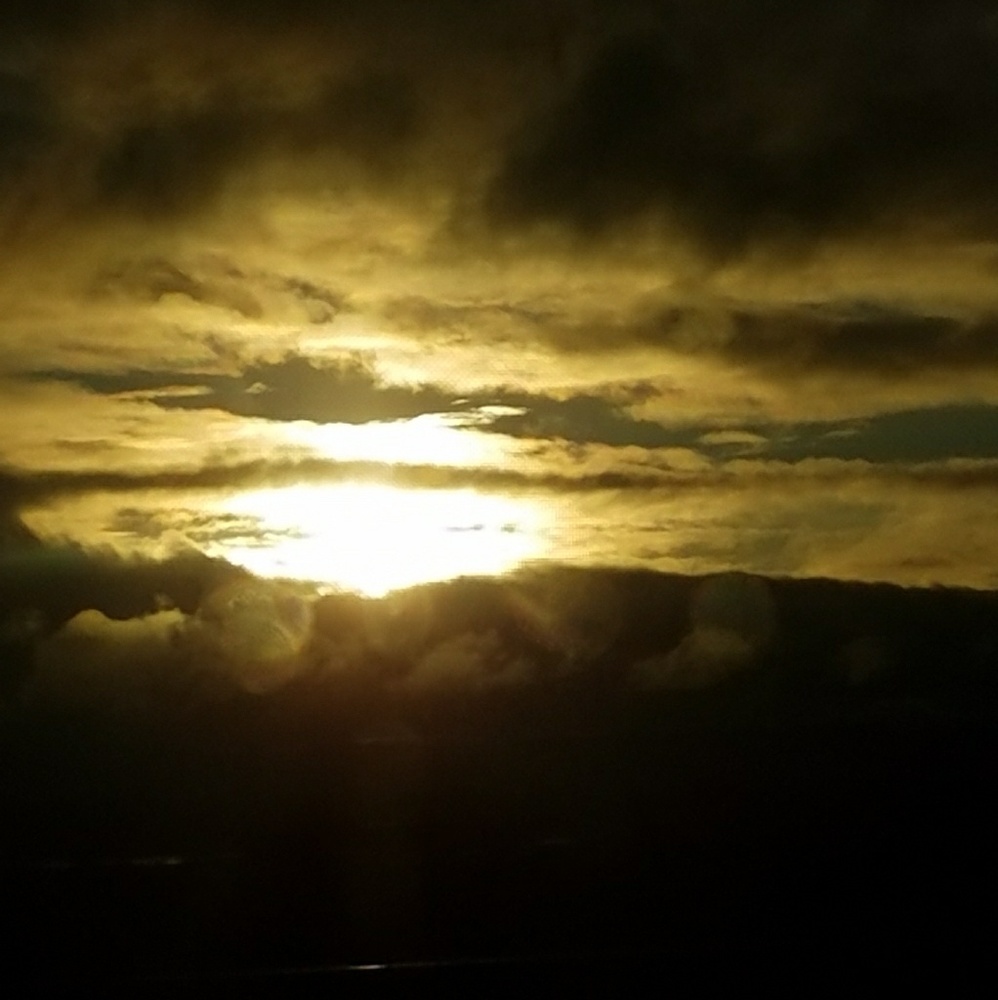 Meet your Posher, Diana