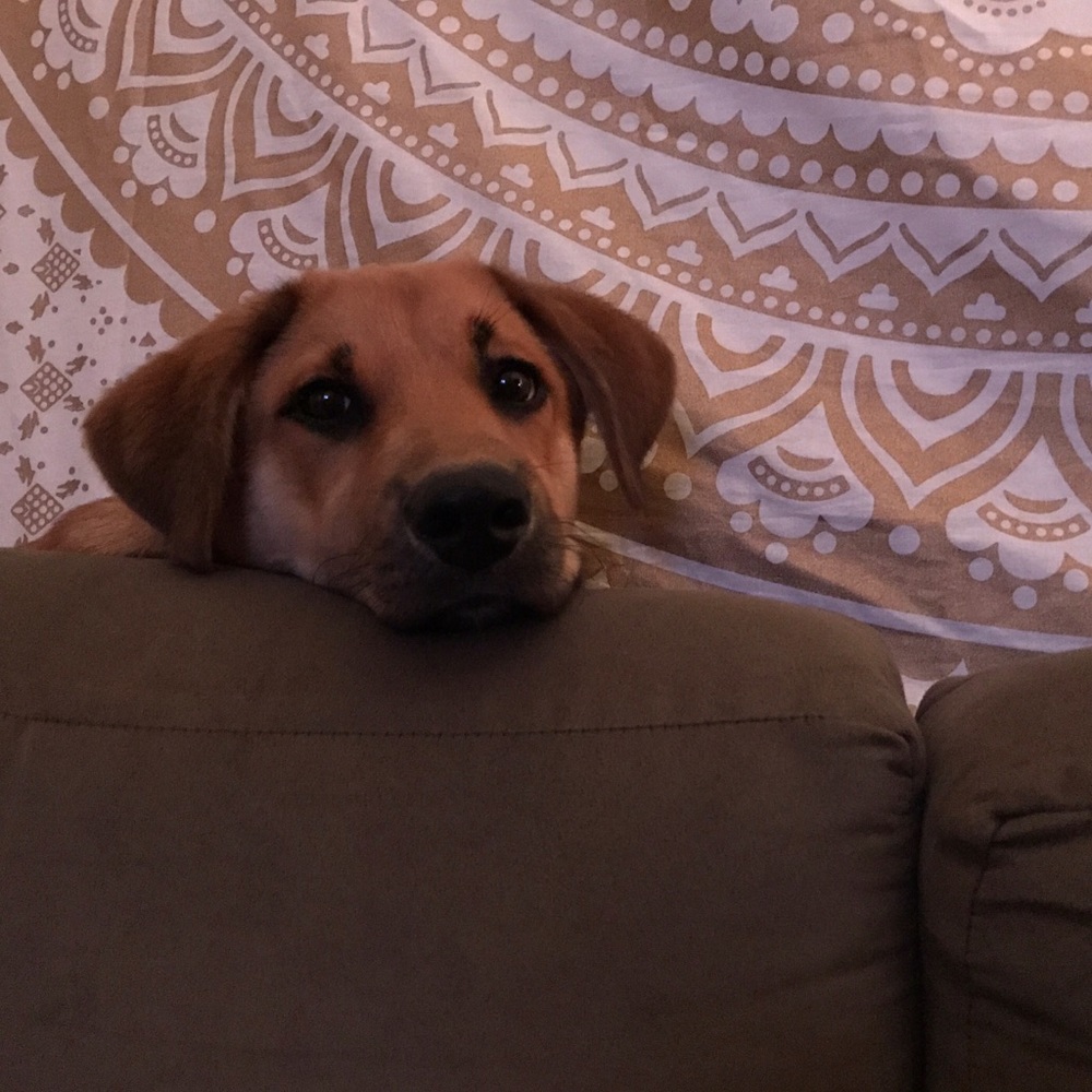 Meet your Posher, Christine