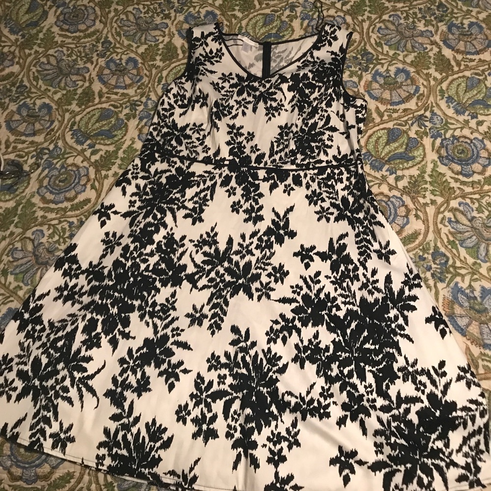 Gorgeous black and white London Times dress 16W