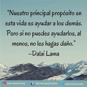 Meet your Posher, Alma