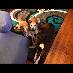 Meet your Posher, Genae