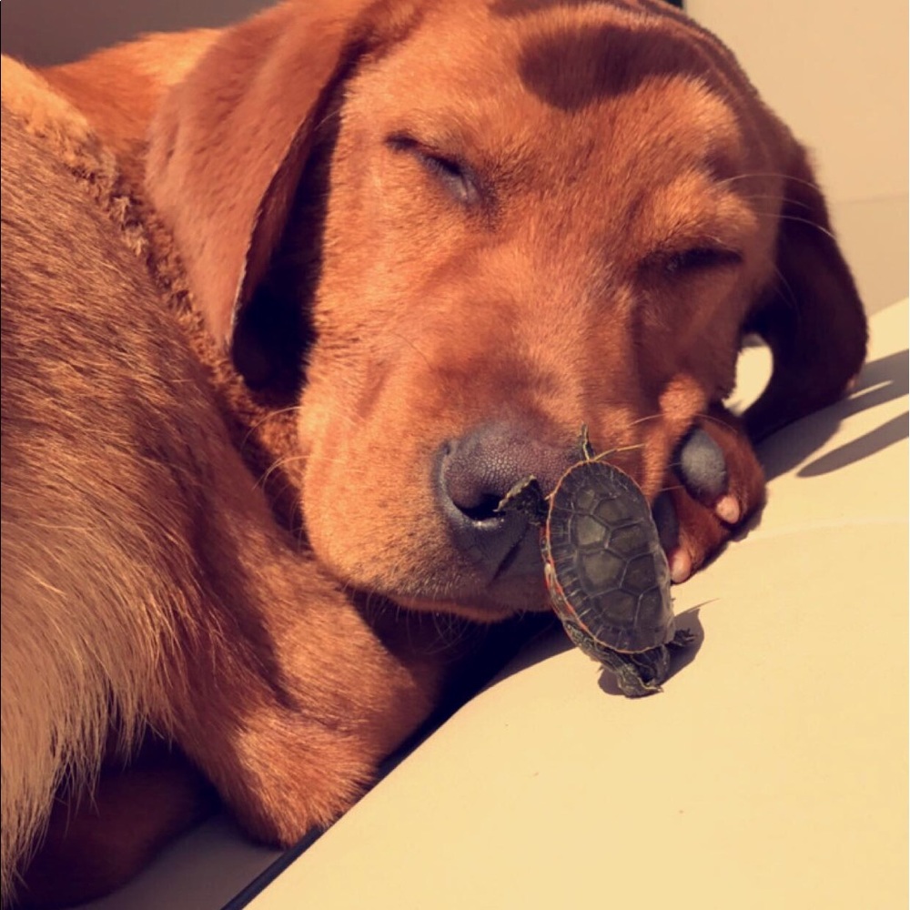 Meet your Posher, Faith