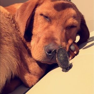 Meet your Posher, Faith