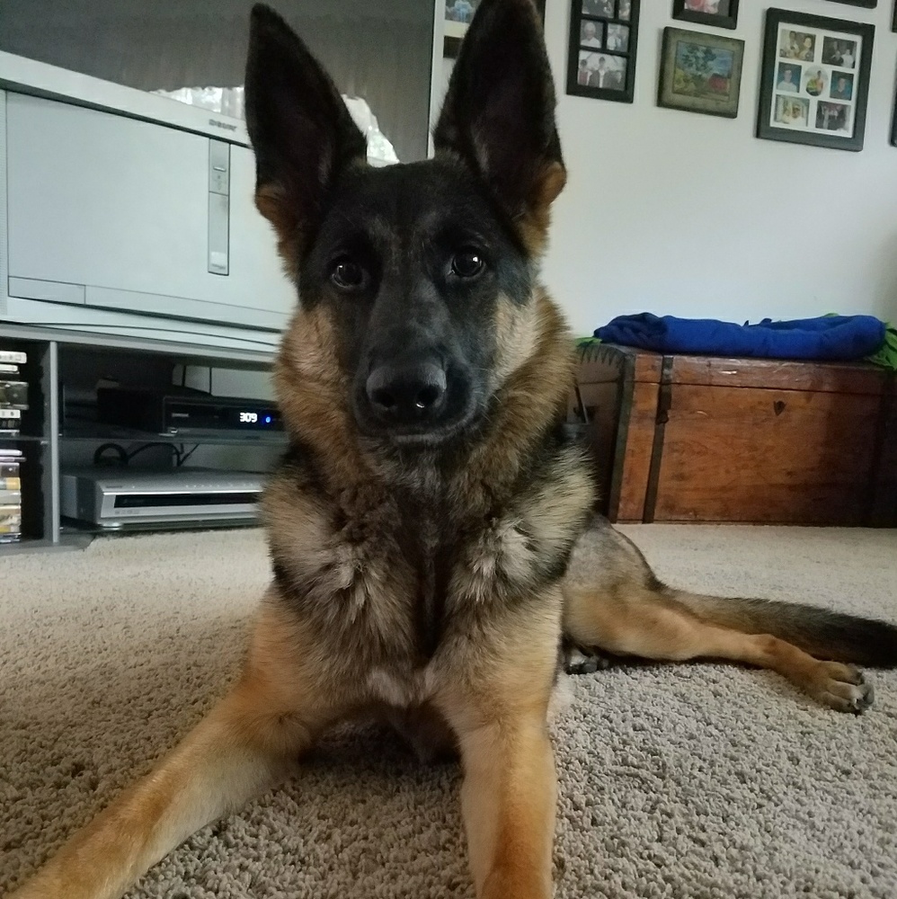 Meet your Posher, Megan