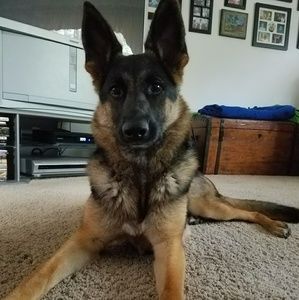 Meet your Posher, Megan