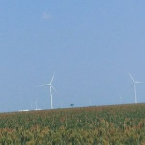 Meet your Posher, Francisca