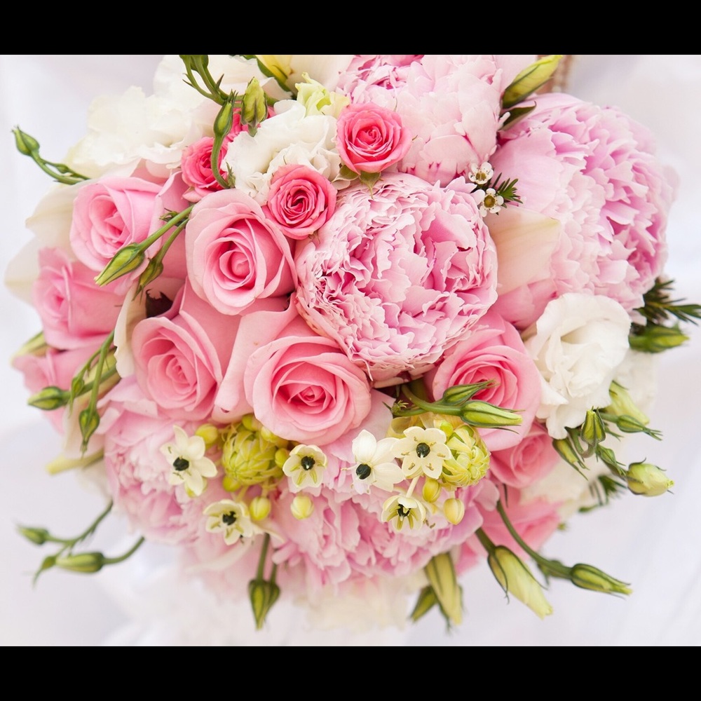 Meet your Posher, Heidi