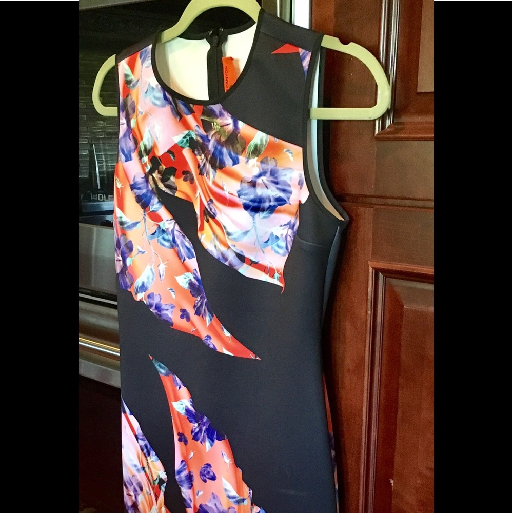 Gorgeous Clover Canyon  dress Size Medium