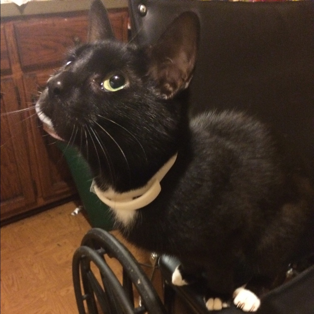 Meet your Posher, Cassa