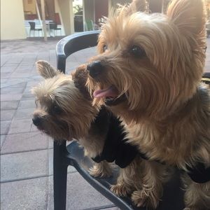 Meet your Posher, Ana maria