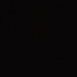 Meet your Posher, Lloyd