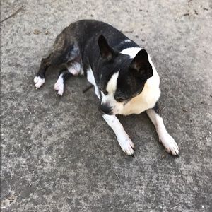 Meet your Posher, Sharon