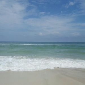 Meet your Posher, Shauna