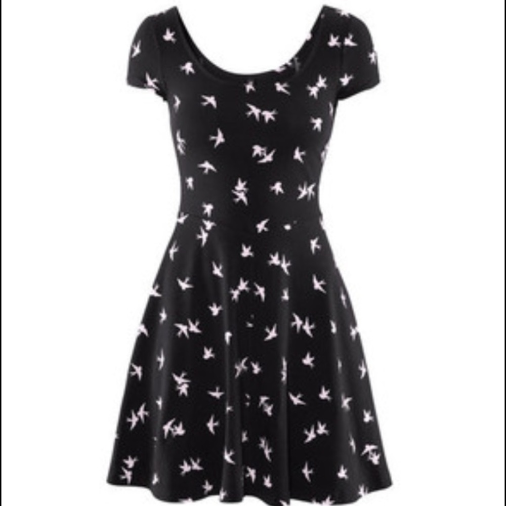 Sparrow Skater Dress