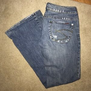 Carina Sliver Jeans