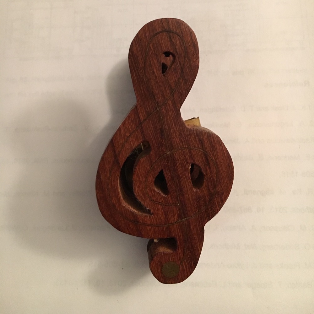 Jumbo wooden clip
