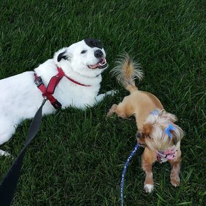 Meet your Posher, Linda