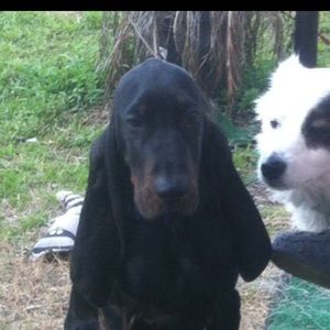 Meet your Posher, Pamela