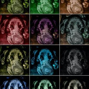 Meet your Posher, Deanna