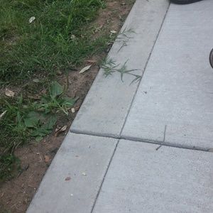 Meet your Posher, Isabella