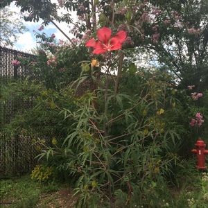 Precious moments bag