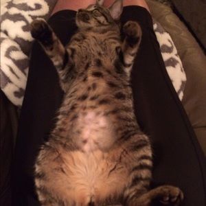 Meet your Posher, Liz