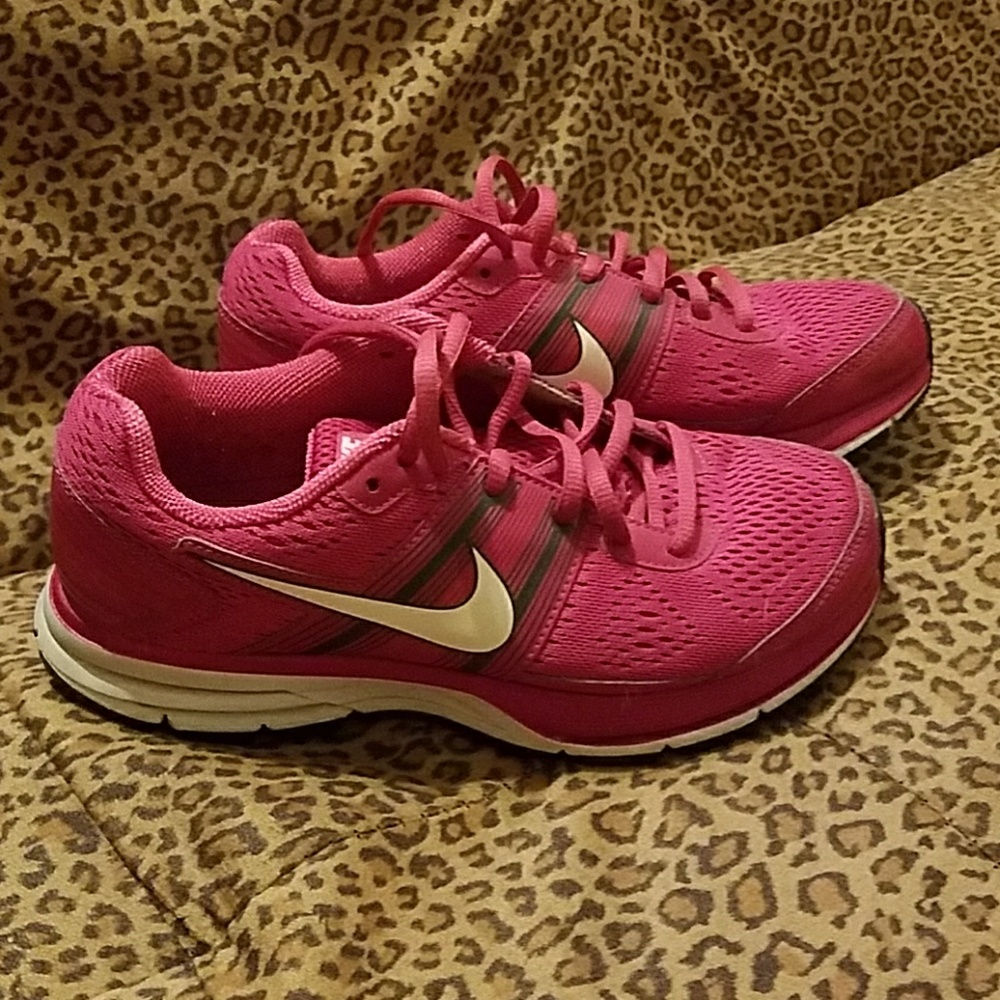 Nike Zoom Pegasus 29