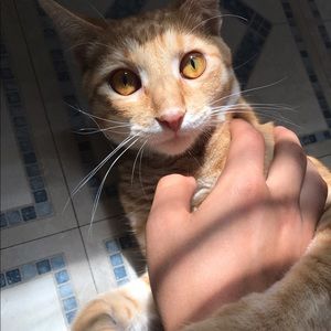 Meet your Posher, Erin