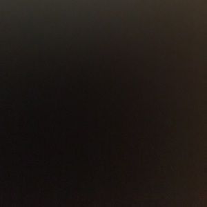 Meet your Posher, Rose