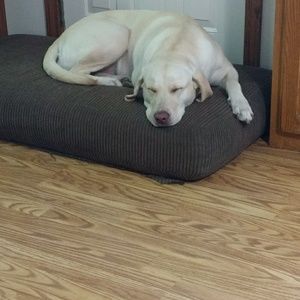 Meet your Posher, Katelyn