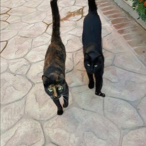 Meet your Posher, Ezenca