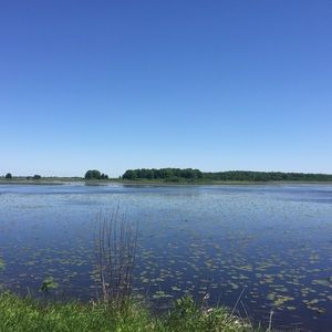 Meet your Posher, Eva