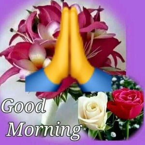 Meet your Posher, Krupali