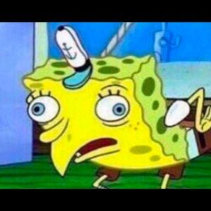 Meet your Posher, Chase