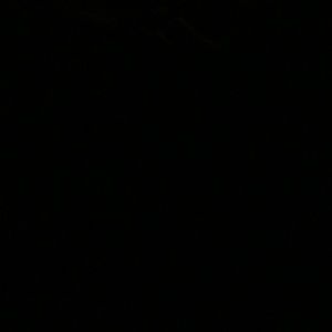 Meet your Posher, Leonardo