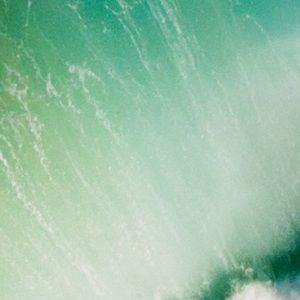 Meet your Posher, Avery